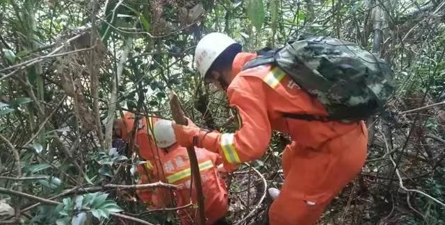 福建周宁：村民上山抓石林蛙失联40余小时消防紧急救援