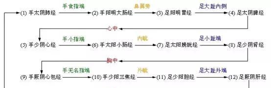 跟我学中医 | 十二经脉的分布规律、表里关系、流注次序