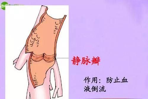 挤了颗痘痘，高烧昏迷进ICU！面部三角区痘痘不能随便挤！