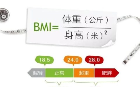 体重指数bmi计算方法公式