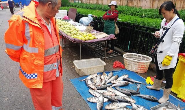 野生大鳖出现在菜市场 120块钱一斤 摊贩卖掉3只 花鲢10块钱一条