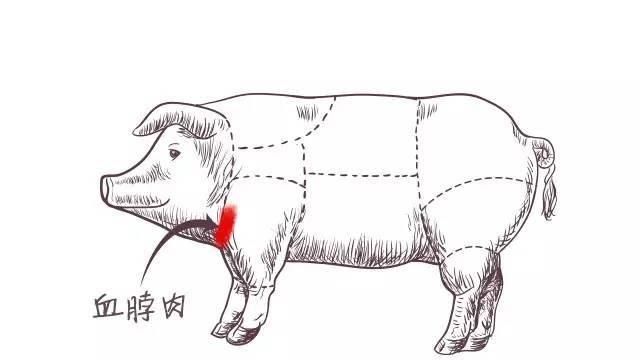 猪脖肉到底能不能吃(猪奶部位的肉可以吃吗)图2