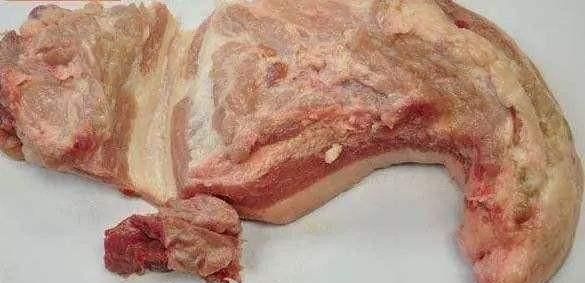 猪脖肉到底能不能吃(猪奶部位的肉可以吃吗)图5