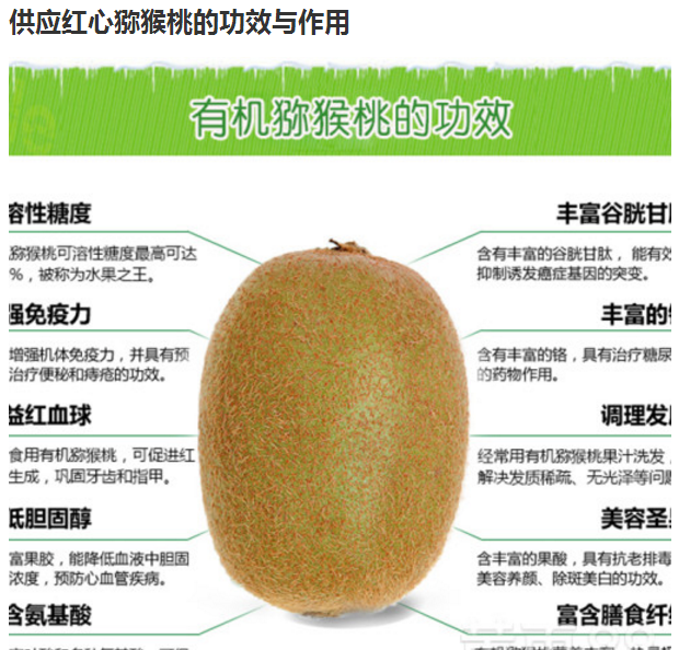 水果知识——奇异果
