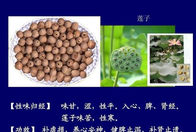 吃莲子需要注意什么(莲子食用方法及禁忌)图2