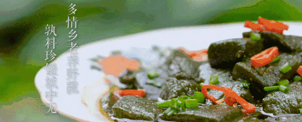 「素食品鉴」一种神奇的树叶豆腐，也叫神仙豆腐、观音豆腐