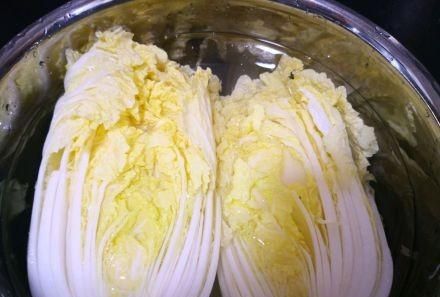 韩国辣白菜是怎么做的图23