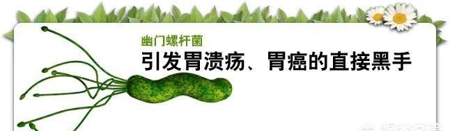 有什么药可以治疗幽门螺旋杆菌的图3