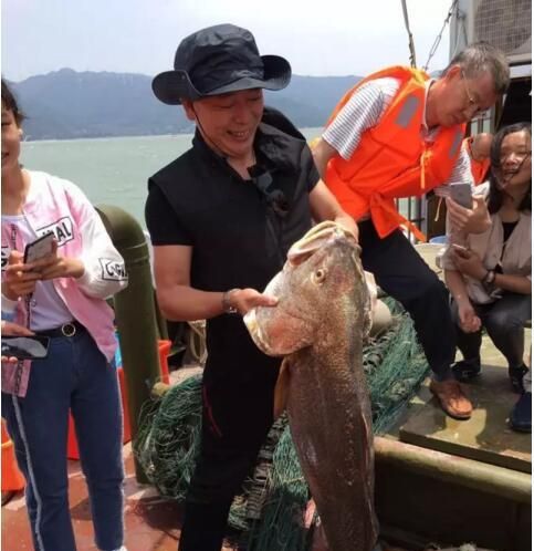 347万的天价鱼，为你揭秘金钱鳘