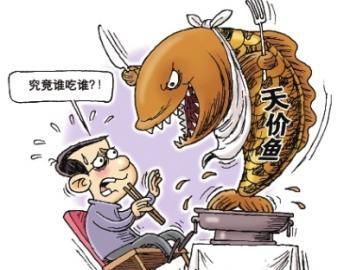 347万的天价鱼，为你揭秘金钱鳘