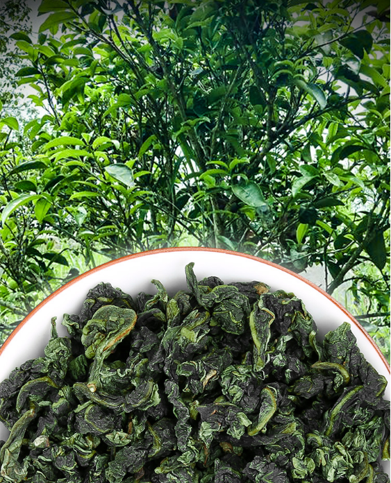 铁观音属于什么茶，红茶还是绿茶？