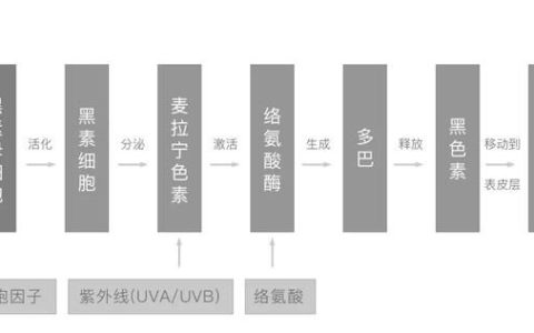 色斑修复最简单的方法,修复色斑的方法
