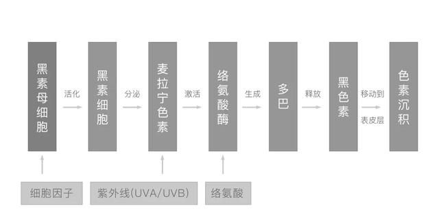 一文解读色斑修复方式，不再担心做油腻黄脸婆