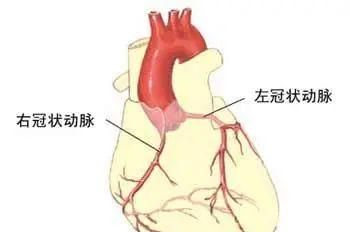 「杏林微科普」大动脉炎你了解么？