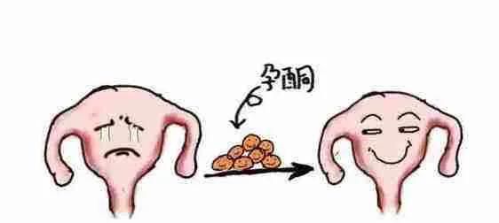 排卵后要不要吃黄体酮图3