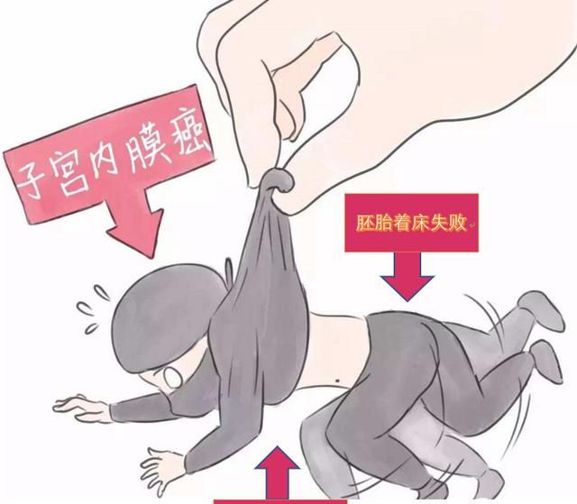 子宫内膜厚怎么调理图5