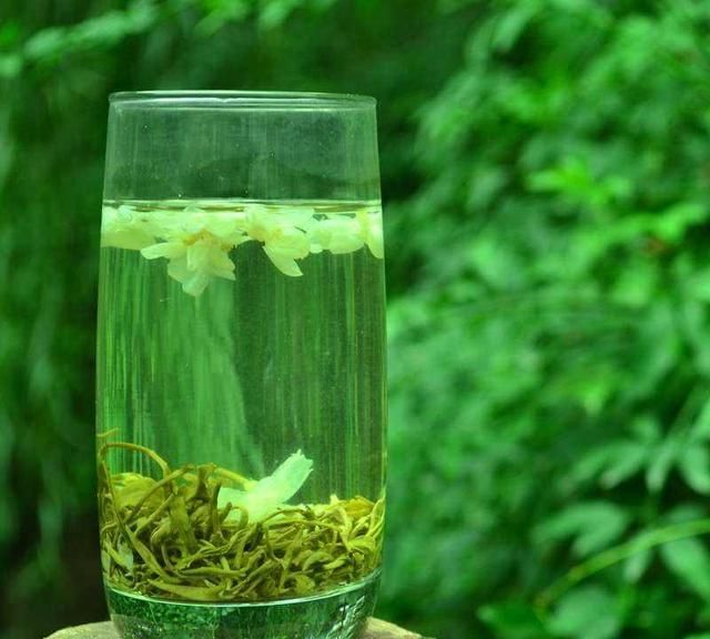 8种花“作用大”，香气满屋能泡茶，你养着花漂亮，花养着你健康
