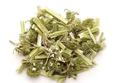 一味中药，就能反映你对母亲的特殊关爱
