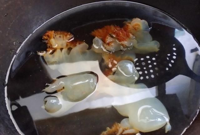 年夜饭凉菜，渔家风味凉拌海蜇，清爽脆嫩鲜美，超简单一看就学会