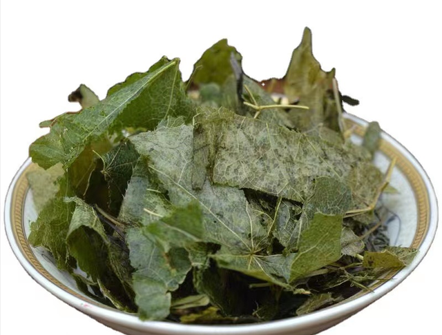 每日一味抗癌中药——淫羊藿，补肾阳效佳！用于阳虚及肾虚型肿瘤