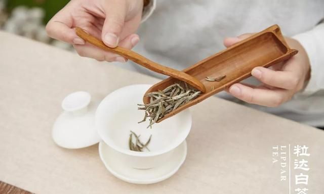 女神节| 泡杯白毫银针，做最美小姐姐