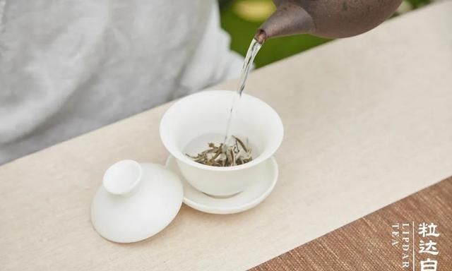 女神节| 泡杯白毫银针，做最美小姐姐