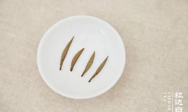 女神节| 泡杯白毫银针，做最美小姐姐
