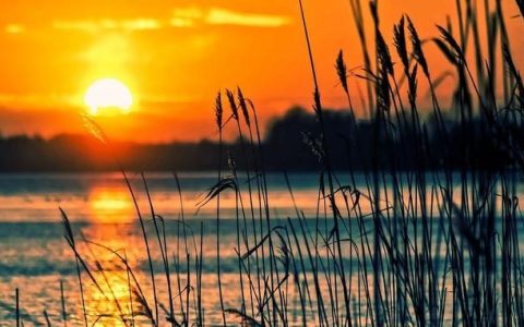 常见症状之头痛病因知识(头痛诱因你知道吗)