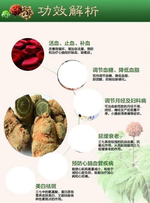 三七粉涂脸上祛斑吗图2