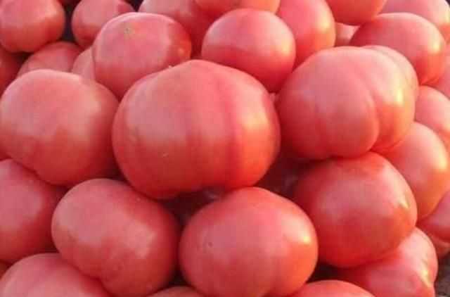 豆腐西红柿怎么做(豆腐炖西红柿做法)图10