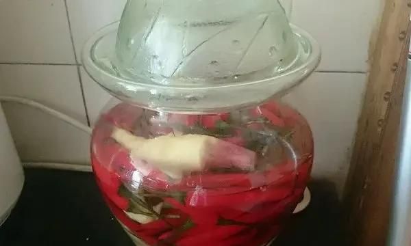 凤爪泡椒怎么做好吃(泡椒怎么做好吃)图6