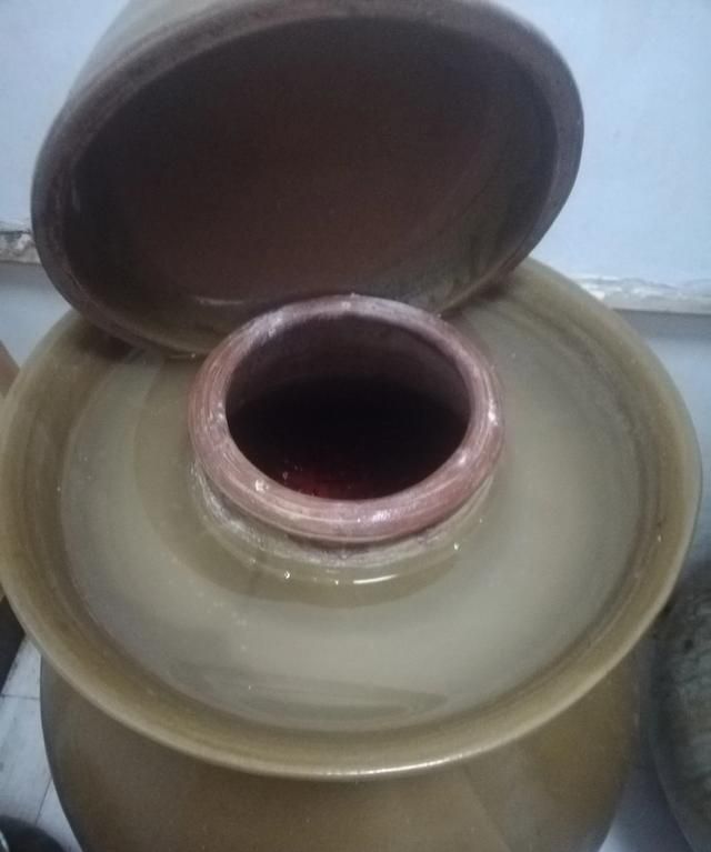 凤爪泡椒怎么做好吃(泡椒怎么做好吃)图7