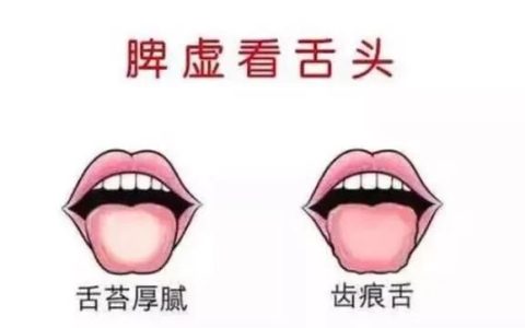 人体哪些穴位按摩最有效(为了身体健康按摩哪些穴位最好)