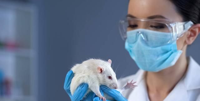 癌症患者不能吃花生，因为花生会促进癌症转移？专家一文说出实情