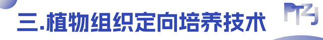 这43种新原料勾勒出行业新版图（上）| 平替的终结