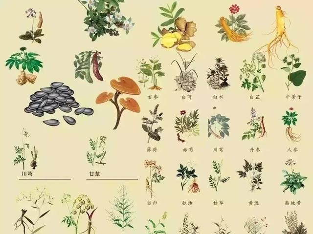 简述国家划分的七大类渔药，每一类都有规定成分和规格标准