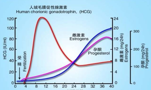 测早孕显示“一深一浅”，是怀上还是没怀上？别上了验孕棒的当