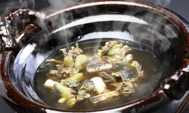 什么龟肉的营养最高图5