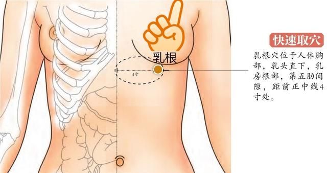 穴位养生｜胸痛胸闷、乳痛、乳汁不足按乳根，宣肺止咳、宽胸增乳