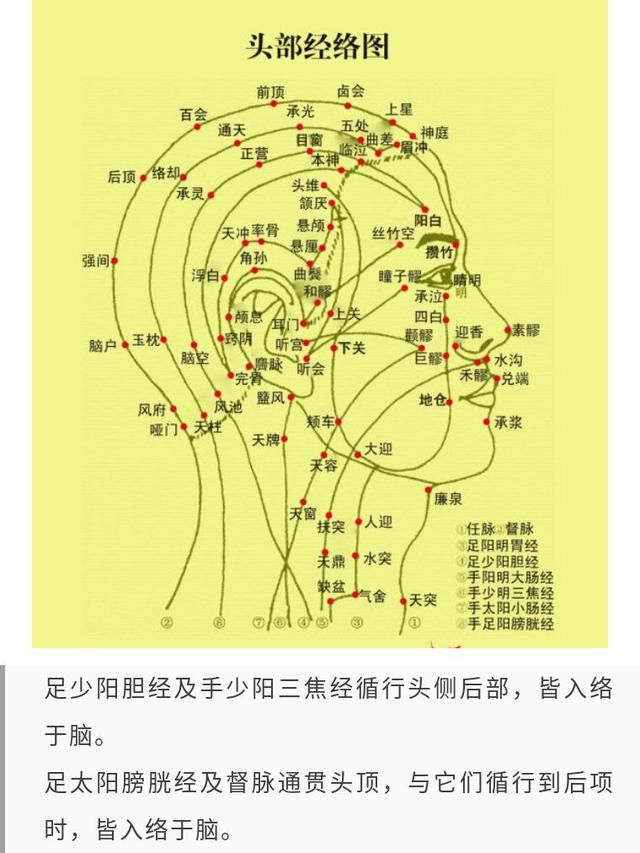 孩子小枕头里藏着大学问：睡眠、脊椎、发育、防病、调病