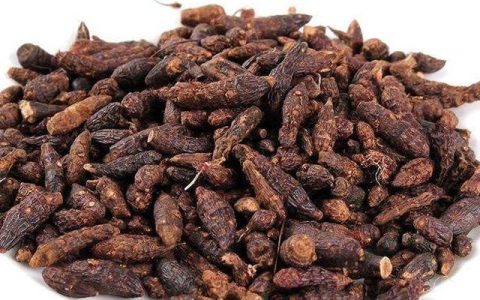 疏肝调经香附的功效与应用,香附养血疏肝