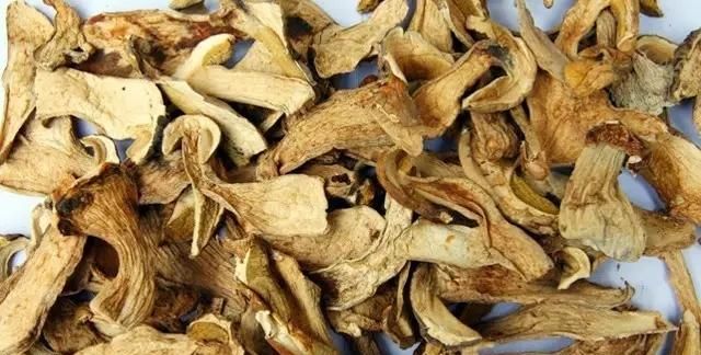 重庆特产传说（251） | 彭水有一种菌，长了一只“大脚”