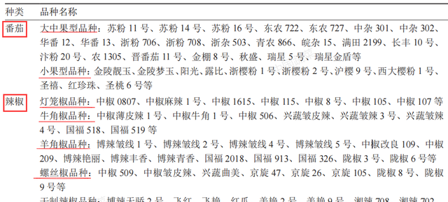 番茄、辣椒、茄子集约化育苗，如何选择品种？核心技术有哪些？