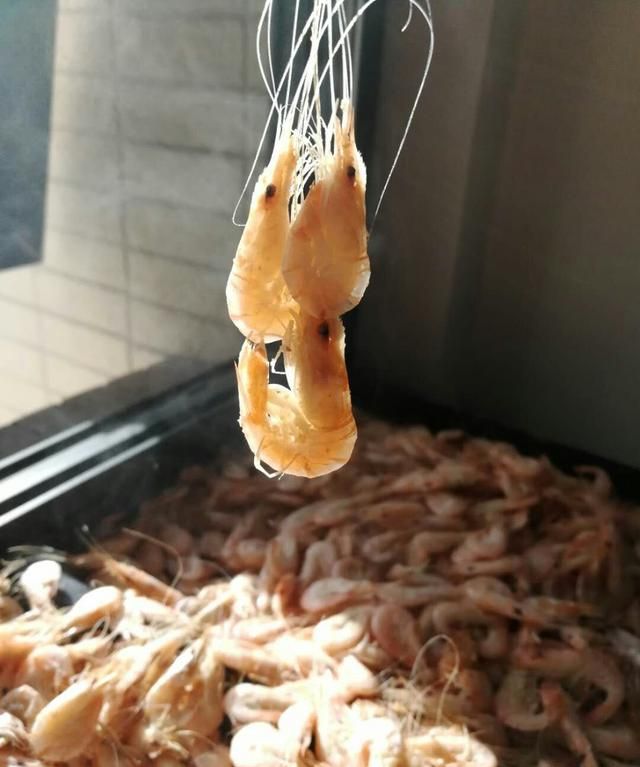 干虾米有哪些营养价值(虾米仁干怎么做才好吃)图2