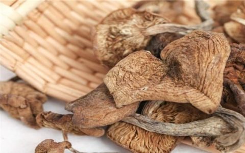 哪种菌类适合煲汤且营养价值高,羊肚菌可以和哪些菌类一起煲汤