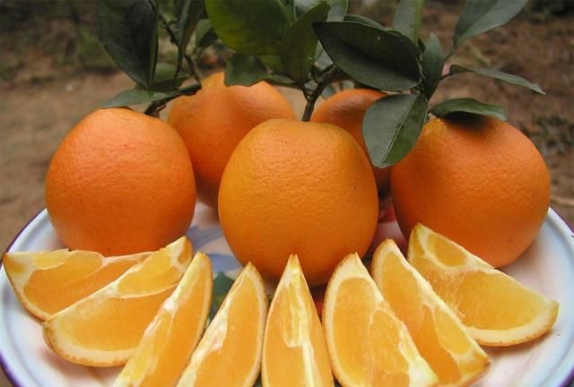 唐三镜真全粮-橙子酒的酿酒方法，橙子酒的功效