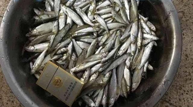 白鱼怎么烹饪更好吃图5