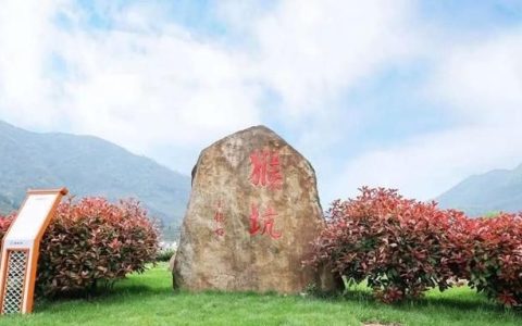 正宗的猴魁是什么茶厂