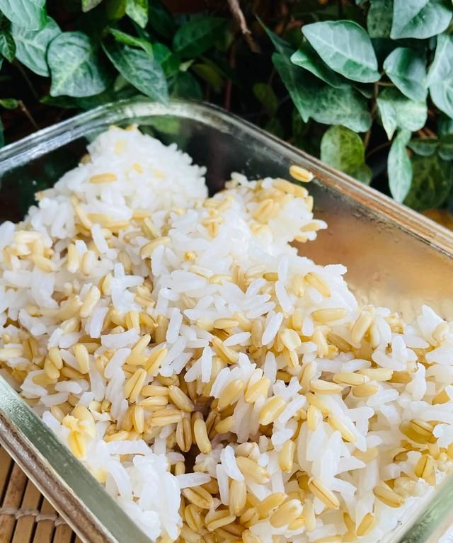 燕麦片怎么吃才减肥那种速食的图2