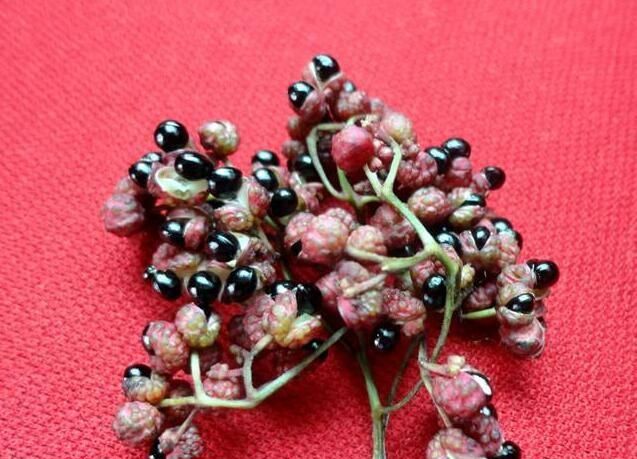 花椒有哪些好处,现磨花椒的好处图2